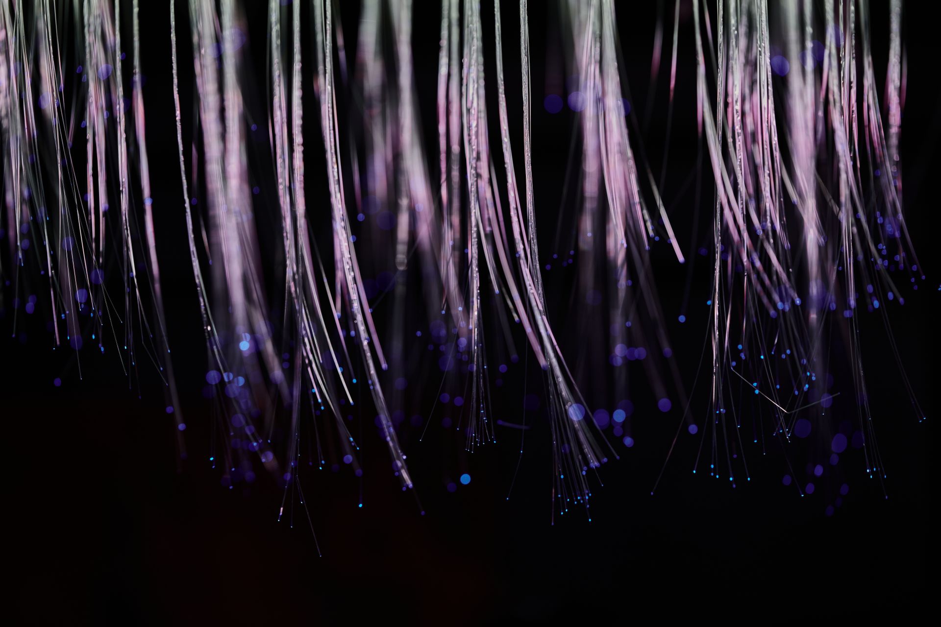 Distributed agent network